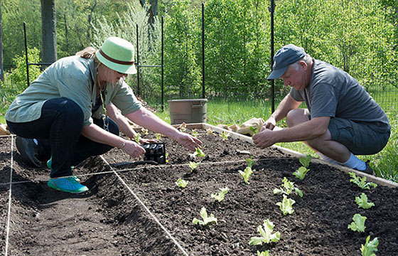 Two adults planting a garden.